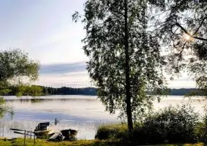 Peaceful morning view at a lakeside with boats and lush trees, capturing tranquility and natural beauty.